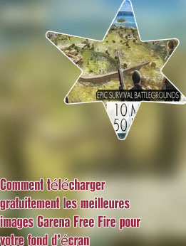 Telecharger free fire sur pc